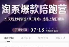 【贾真108将】淘系爆款陪跑赢(第六期)-星星拼课网