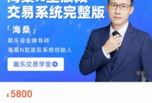 海桑N型波段交易系统完整版-星星拼课网