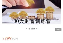 晚情第11期 30天财富训练营-星星拼课网