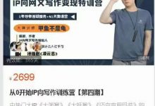 甲鱼不是龟字符宇宙创意写作，从0开始IP向写作训练营第四期-星星拼课网