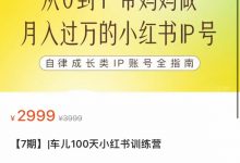 车儿100天小红书训练营【7期】-星星拼课网