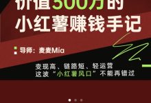 价值300万的 小红书赚钱手记-星星拼课网