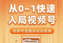 陈厂长·从0-1 快速入局视频号直播课程-星星拼课网