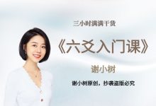 谢小树课程合集6套-星星拼课网