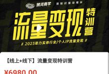 银河商学大蓝【线上+线下】流量变现特训营-星星拼课网
