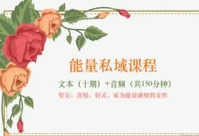 花痴女巫 能量私域课程-星星拼课网