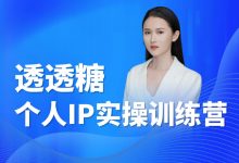 透透糖2023个人IP实操训练营56节完整版-星星拼课网