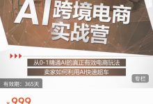 白龙老师·AI跨境电商实战营-星星拼课网
