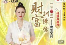 文心老师《财富训练营第20期》-星星拼课网