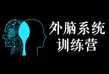 外脑系统训练营·第2期-星星拼课网