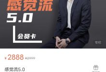 感觉流5.0-星星拼课网