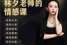 林夕高质量关系课程-星星拼课网