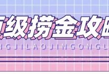 林夕 顶级捞金攻略林夕-星星拼课网