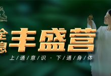 30天全息丰盛营-星星拼课网