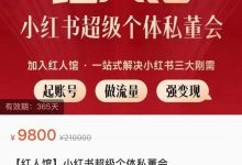 红人馆-小红书超级个体私董会-星星拼课网