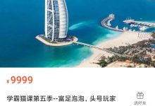 学霸猫课第五季--富足泡泡,头号玩家 36集完整版-星星拼课网