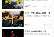 甄琦学长课程合集-星星拼课网