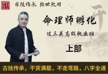 九岳山人 2022 命理阴阳诀(上部) (下部)八字高级执业班-星星拼课网