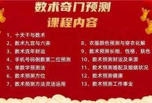 张敬平老师数术奇门预测28集-星星拼课网