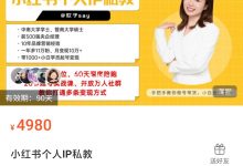 欢子say《小红书个人 IP 私教》-星星拼课网