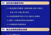 Annie聊跨境TK-出海营销实战课品牌策略数字营销策划方案FacebookGoogle默认班-星星拼课网