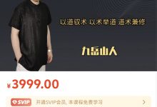 九岳山人 2024年 SVIP 私教课-星星拼课网