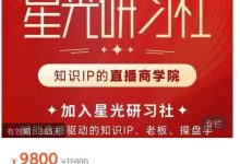 299💰星光训练营第10期 250419-250421-星星拼课网