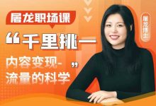 屠龙职场课千里挑一系列：内容变现-流量的科学-星星拼课网
