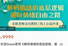 乐悠老师 解码情绪底层逻辑-星星拼课网