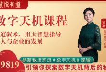 黎荔教授亲授《数字天机》传承:引领你洞察数字背后的智慧-星星拼课网