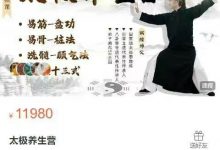 诚煊师父 太极养生营（27节）-星星拼课网