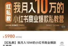 【红私教】我月入10W的小红书商业爆款私教营（24节）-星星拼课网
