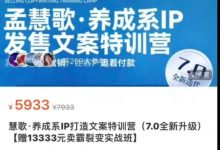 慧歌·养成系IP打造文案特训营（7.0全新升级）-星星拼课网