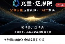 《兆量达摩院》全域流量打粉课-星星拼课网