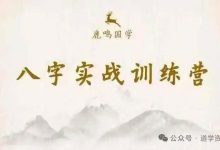 鹿鸣国学八字实战训练营【99节】-星星拼课网