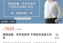 网络成瘾、厌学及拒学 干预技术实操工作坊-星星拼课网