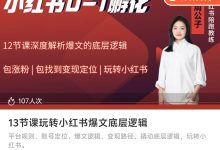 13节课玩转小红书爆文底层逻辑-星星拼课网