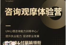 曾奇峰&付丽娟&徐倩&李亚 《咨询观摩体验营》【视频课】-星星拼课网