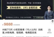 AI线下3天特小班实战训练营-星星拼课网