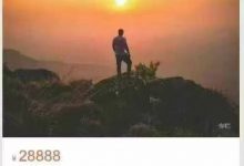 枪大侠【徒弟课】情绪资金流公式-星星拼课网