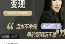 云蔓创始人IP变现课-星星拼课网