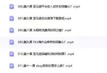 跨境电商财务经理养成计划（社群陪伴成长营）（48节）-星星拼课网